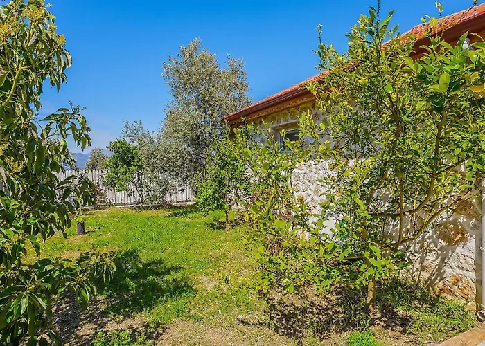 Villa Uzumlu Village 1 Bedroom
