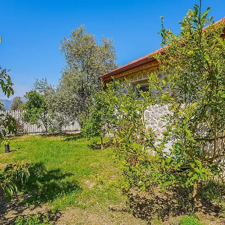 Villa Uzumlu Village 1 Bedroom 6683